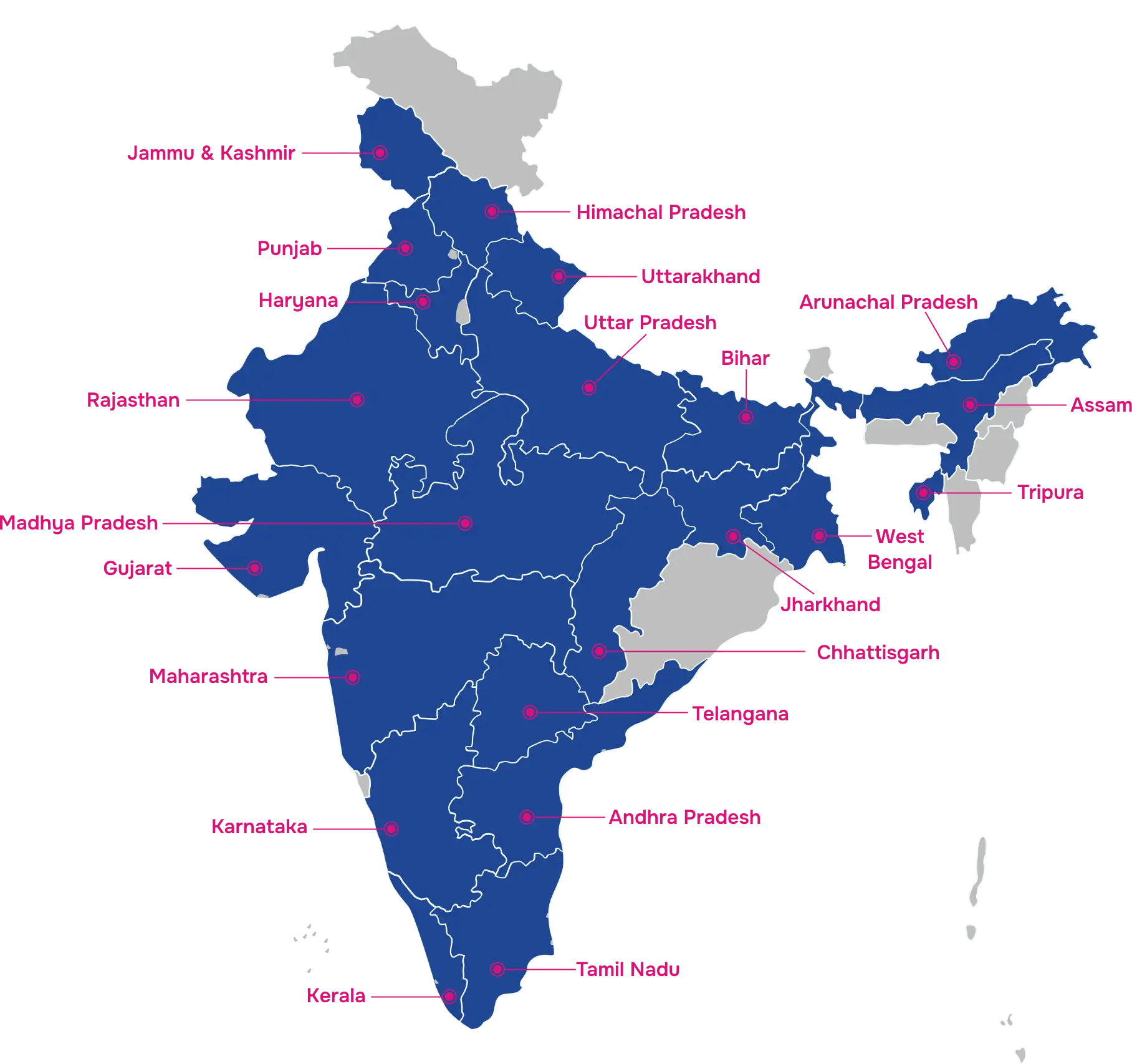 Gynae Medicine Company